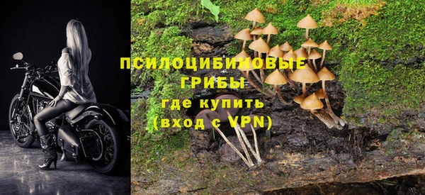 ALPHA PVP Армянск