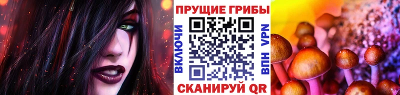 Псилоцибиновые грибы ЛСД Петровск