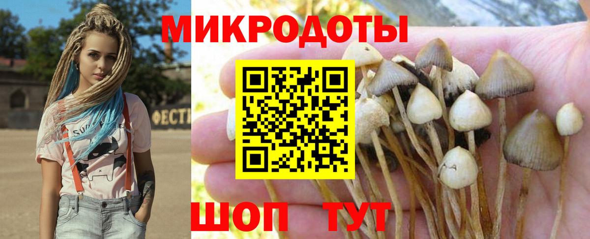 Псилоцибиновые грибы MAGIC MUSHROOMS  Вход с VPN  Петровск 