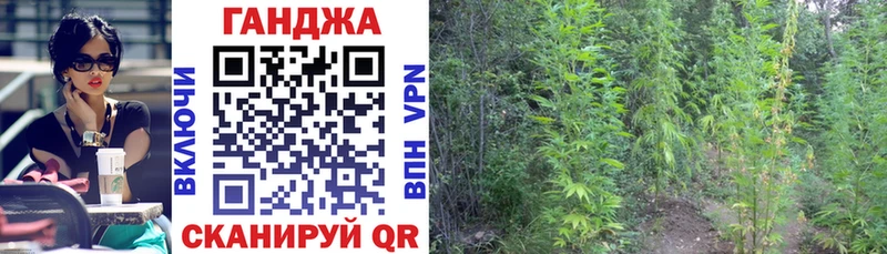 сайты даркнета Telegram  Петровск  Бошки Шишки OG Kush 